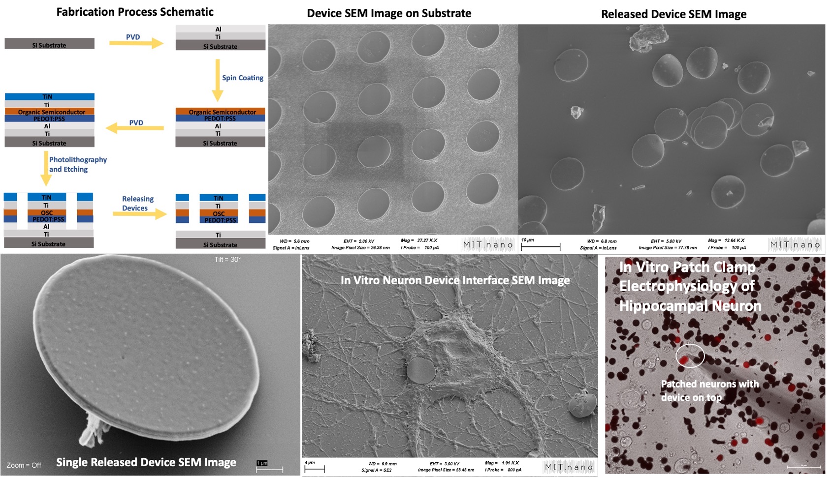 Bioelectronics Research
