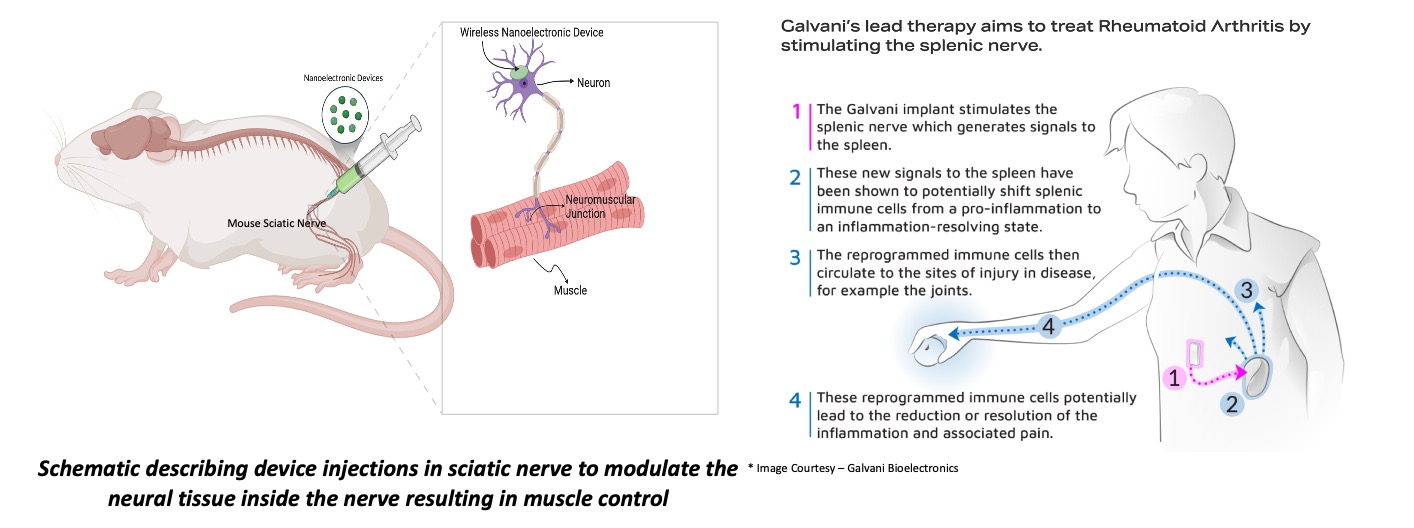Bioelectronics Research